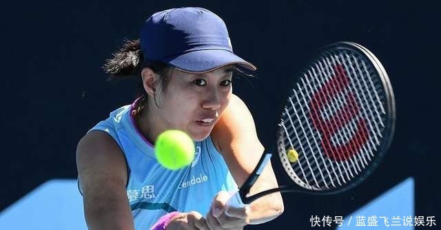 荷兰队和波 荷兰队和波