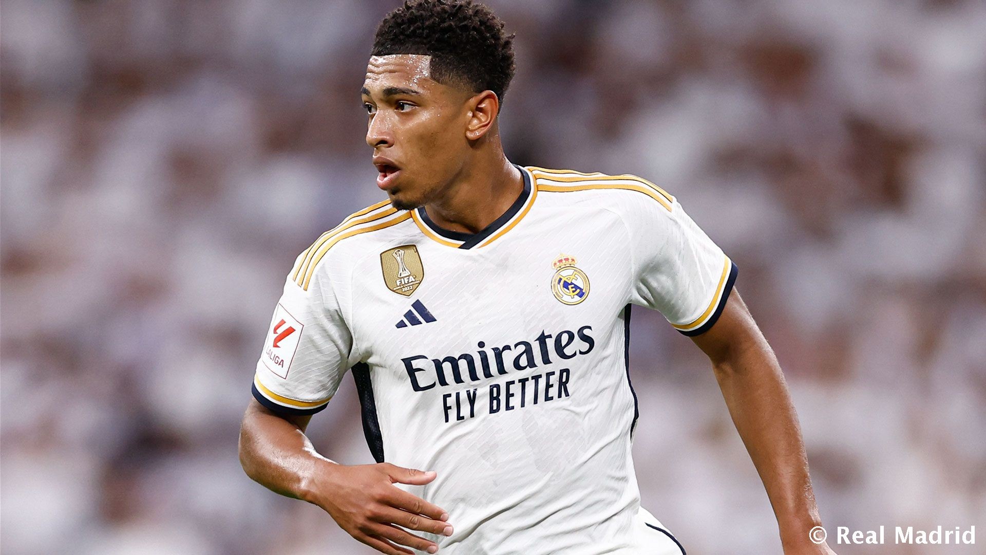 假触真打 假触真打