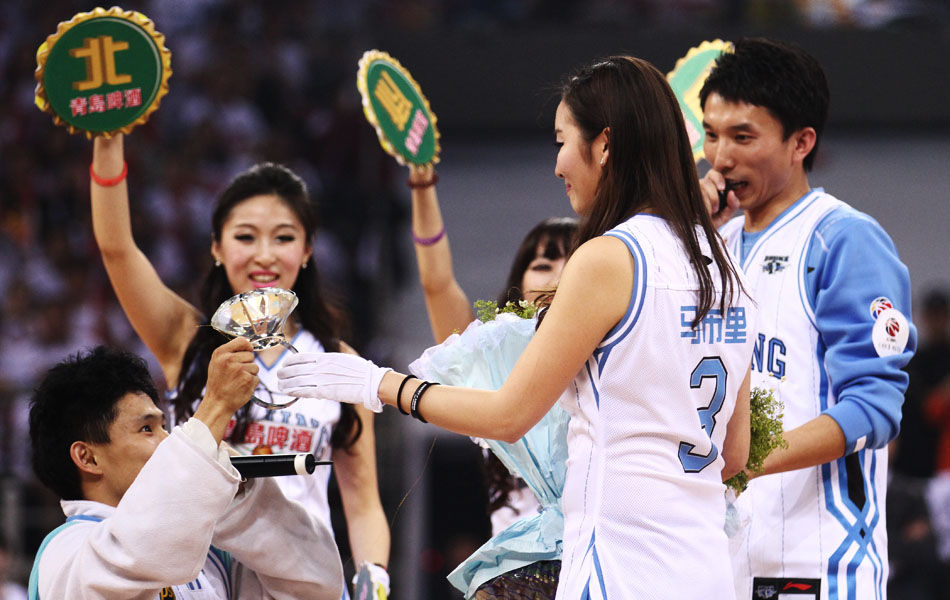 术说明书 术说明书